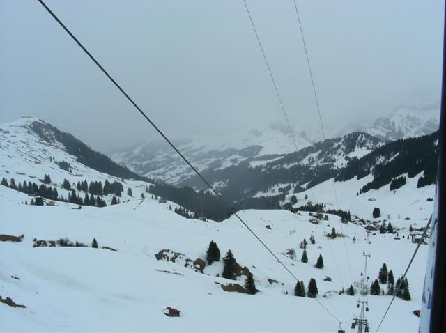 DSCN0245