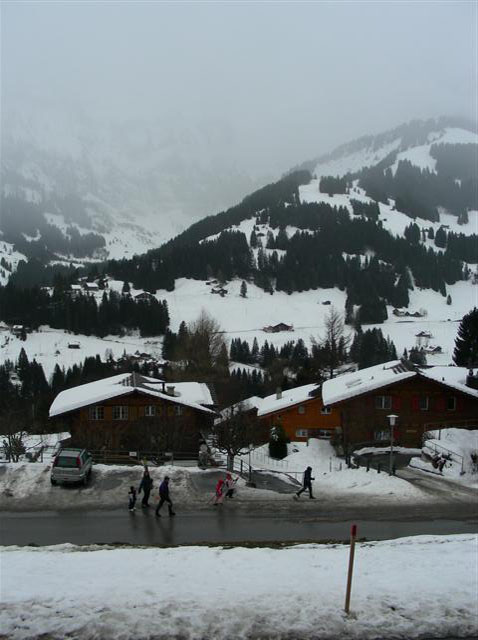 DSCN0247