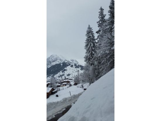 07.02.2017
