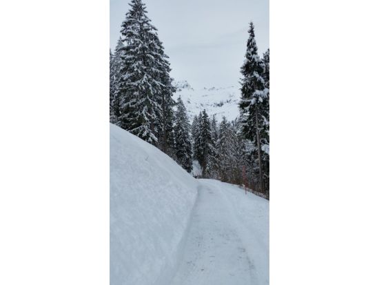 07.02.2017